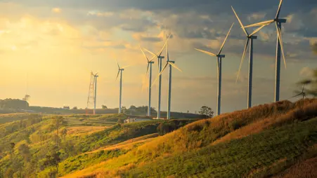 Business Connect Webinar