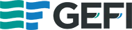 GEFI (1)